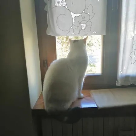 לינה וארוחת בוקר Da Paolo Con Vista Di Garda *